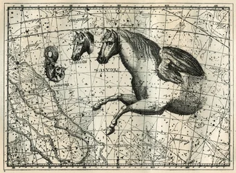 The Constellation of Pegasus, Drawn Like the Anterior Half of a Horse with a Pair of Wings, the Little Horse, a Horse