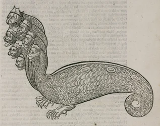 The Hydra