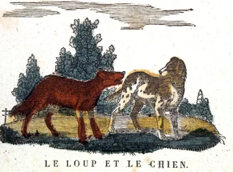 The wolf and the dog, La Fontaine