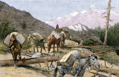 Transport of Supplies and Furs on Horseback in the Rocky Mountains, USA. From an Illustration by Frederic Remington