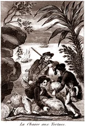 Turtle hunting