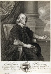 William Harvey, English Physician