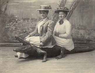 Women sitting on a stuffed alligator, c.1905