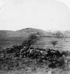 Boer Trenches and Crest of Harts Hill, Scene of the Irish Brigade