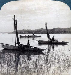 Fishing Boats Coming Home at Sunset, Near Yokohama, Japan, 1904