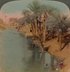 In the Fayum, the Richest Oasis in Egypt on Bahr Yussef River Joseph, to the Nile, 1902