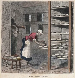 A Cheese Factory. 19th century illustration. Bianchetti Collection