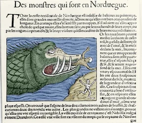 A marine monster beats a swimmer near the coast of Norway. Engraving by Olaus Magnus (1490 - 1557), Swedish religious and geographer, 