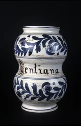 Albarelle: former 16th century pharmacy vase containing gentian. Museum of Science and Technology, Milan