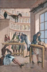 Albrecht von Haller (1708-1777) in his laboratory Bern in Switzerland