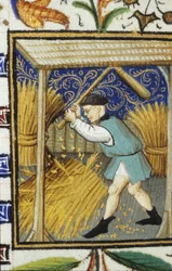 Allegorical representation of August. A peasant beating wheat. Miniature of a 14th century manuscript.