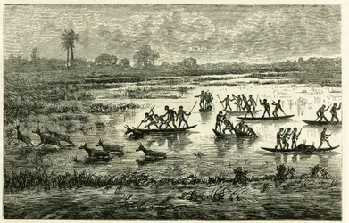 Antelope hunting, annual hunting during migration, antelopes slowed down in the river water are slaughtered by Marutse warriors, who pursue them in balance on canoes. Engraving to illustrate the story Au pays des Marutses, in 1875-1879, by Dr. Emile Holub