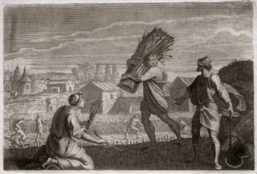 Bible of Royaumont, Old Testament: Ruth follows her mother-in-law Naomi in the land of Judah and reaps the wheat fields of Boaz. Illustration from 1811.