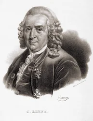 Carl Von Linné Swedish naturalist and writer (1707 - 1778)
