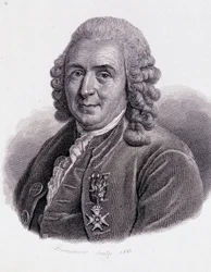 Carl Von Linné Swedish naturalist and writer (1707 - 1778) - in 