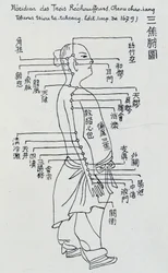 Chinese Acupuncture: The Meridian of the Three Heaters