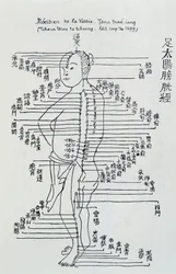 Chinese acupuncture: the meridian of the bladder