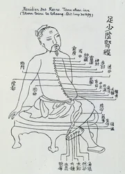 Chinese acupuncture: the meridian of the kidneys