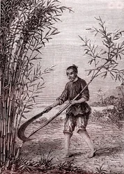 Cutting the Bamboos, Paper Manufacturing in China (3rd Century BC)