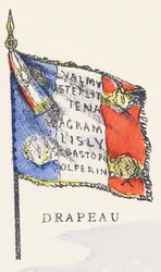 D: Flag