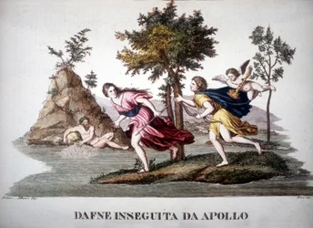 Daphne Pursued by Apollo - in Dizionario Mitologico