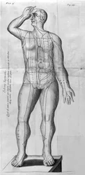 De Acupunctura by W. Ten Rhijne. London 1683. First Western text dealing with Acupuncture