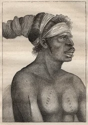 Expedition of Antoine Bruny d