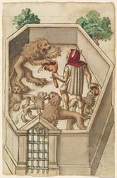 Feed Not Things That Have Sharp Claws