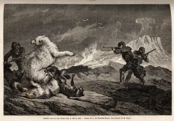 Fight with a polar bear protecting her baby, the pack of dogs assaults her and the hunters, rifle weapons, wait for the right time to shoot her. Engraving to illustrate the voyage to the free sea of the Arctic pole, by Doctor Hayes, surgeon of the United S
