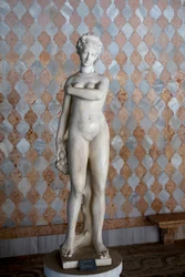 Flora