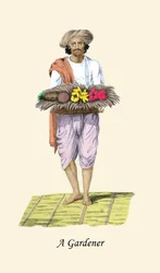 Gardener
