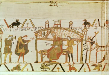 Harold comes before King Edward, Bayeux Tapestry