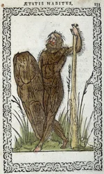 Savage Man - in “Habits et effigies” by Jean Sluperius