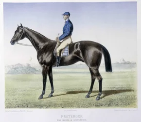 Horseback Riding: Pretender, English Derby Winner