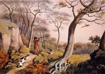 Hunting of Pheasants in England