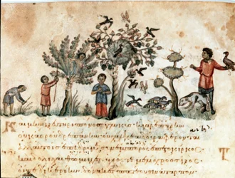 Hunting scene with hawks and collection of fruits
