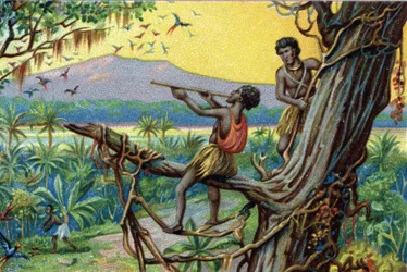 Hunting technique. Hunting hummingbirds in the Polynesian archipelago: the inhabitants use bites. Chromolithograph of the 19th century