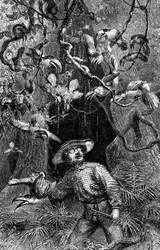 Illustration from 