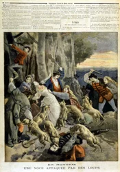 In Hungary: a wedding attacked by wolves - in “Le Petit Journal” of 23/12/1894