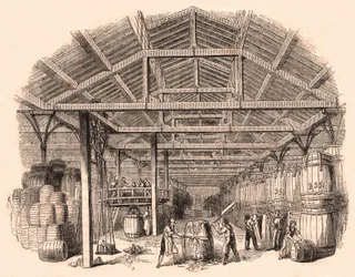 Interior of a tobacco factory: workers chopping a ball of tobacco and others involved in the manufacture and handling of barrels