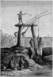 Irrigation in Egypt: Shadoufs on the Banks of the Nile. Engraving in 