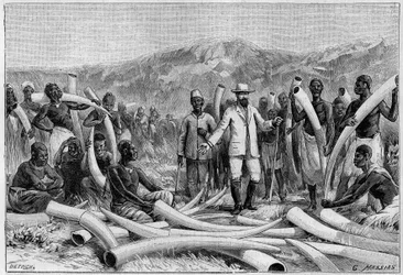 Ivory in Africa: Elephant Defenses Collected by Emin Pasha