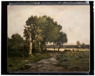 Landscape (c.19th century)