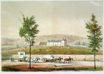 Le Clos Vougeot, Vineyard of Cote d