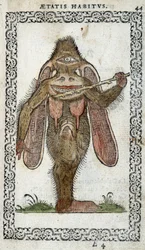 The Cyclops - in 