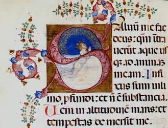Lettrine S: David in the Deep Light - Antiphonary of the 15th Century. Municipal Bibl. of Rimini