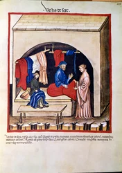 Medicine trade: silk clothing trader. Page taken from Tacuinum sanitatis (Cod. ser. nov. 2644) Around 1400