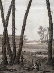 Memphis, view of the ruins (scientists and working artists) - in 