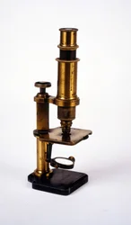 Microscope (19th century)