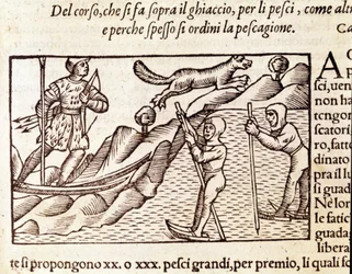 Norwegian Hunters Moving Through Skis. Engraving by Olaus Magnus, "Historia de Gentis Septentrionalibus"
